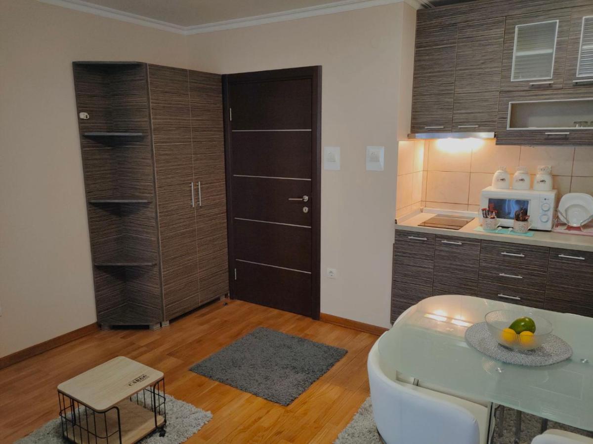 Apartman Jovanovic Vrnjačka Banja Buitenkant foto
